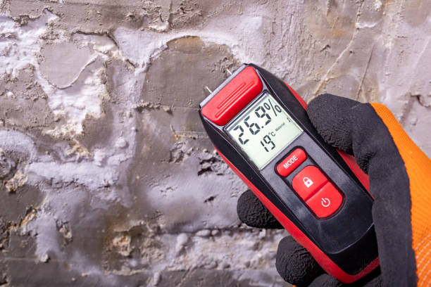 Best Attic Mold Remediation in Old Bethpage, NY