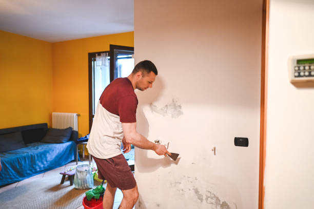 Best Health and Safety Mold Remediation in Old Bethpage, NY